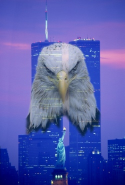 Eagle and Twin Towers