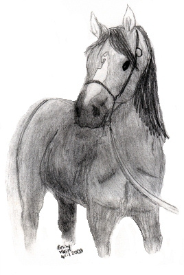 horse-drawing 4-03