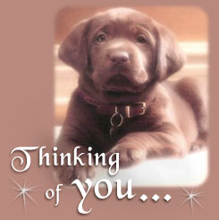 puppy thinking