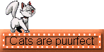 Cats are purfect