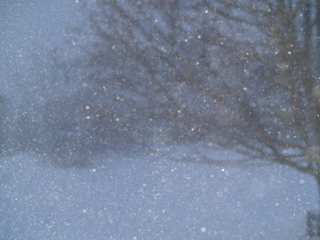 snow1