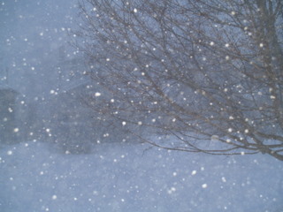 snow2